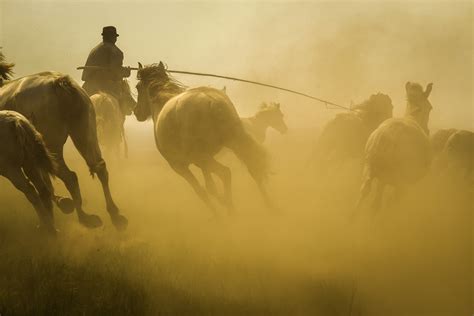 Inner Mongolian Horses – FUJILOVE MAGAZINE