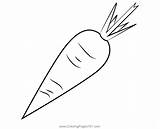 Carrot Coloring Page For Kids  Free Carrots Printable Pages sketch template