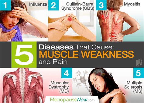 5 Diseases that Cause Muscle Pain and Weakness | Menopause Now