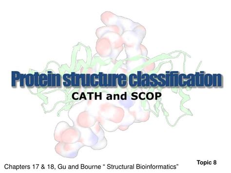 PPT - Protein structure classification PowerPoint Presentation, free download - ID:1868959