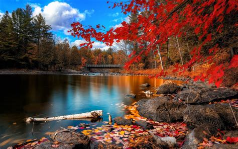 Fall Scenery Wallpapers - Top Free Fall Scenery Backgrounds - WallpaperAccess