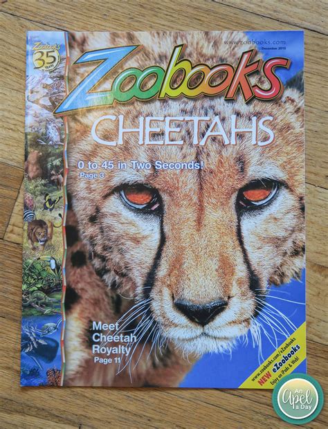 An Apel a Day: Zoobooks Magazine Review