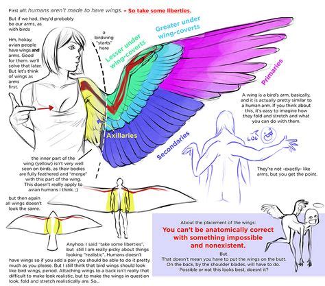 Pin by Allen on Drawing/Painting Help | Wings drawing, Wing anatomy ...