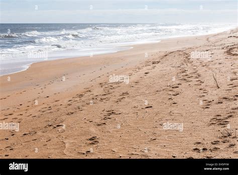 Flagler Beach, Florida, USA Stock Photo - Alamy