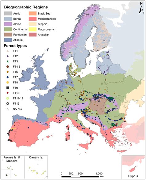 Where are Europe’s last primary forests? | European map, Map, Europe map