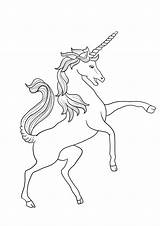 Kolorowanie I Drukowanie Vintage Unicorn Za Darmo sketch template