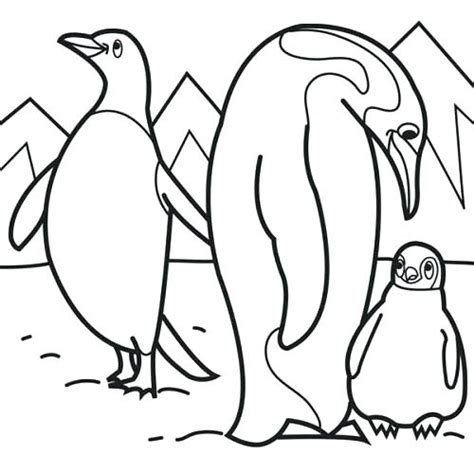 Tundra Animals Coloring Pages at GetColorings.com | Free printable colorings pages to print and ...