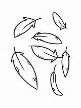 Feathers coloring pages sketch template
