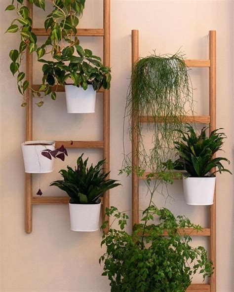 23 Creative & Modern Indoor Plant Wall Decor Ideas
