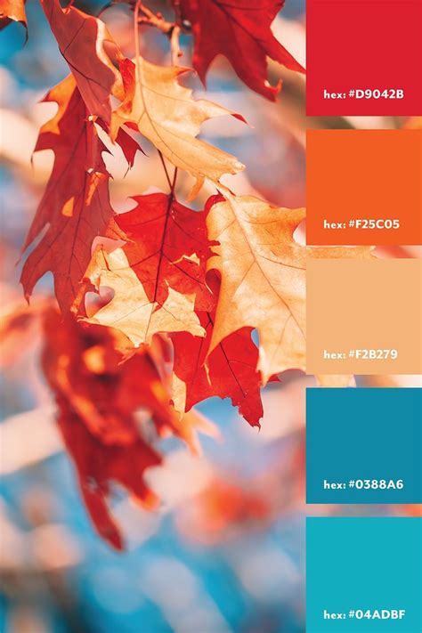 Vibrant Autumn Color Palette