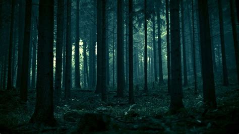 Dark Forest Wallpapers - Wallpaper Cave