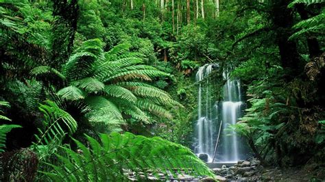 The clearest way into the Universe is through a forest wilderness. | Waterfall wallpaper ...