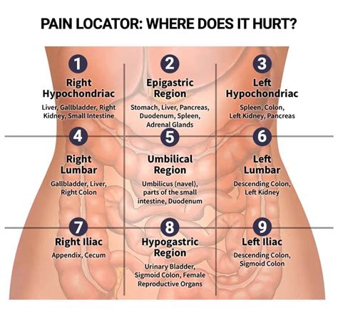 Pain Locator: Where Does it Hurt? - Manhattan Gastroenterology