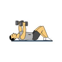 Dumbbell Exercises Complete with Animated Diagrams