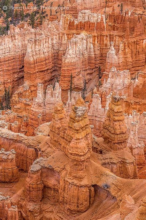 Hoodoos in Bryce Canyon National Park | Bryce canyon national park ...