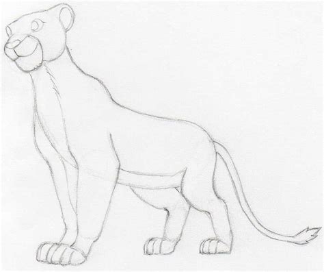 How To Draw Nala from Lion King.