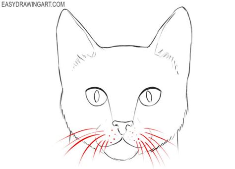 How to Draw a Cat Face | Cat face drawing, Cats art drawing, Black cat drawing