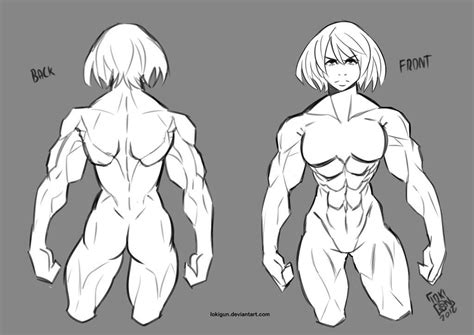 Female Muscle Drawings