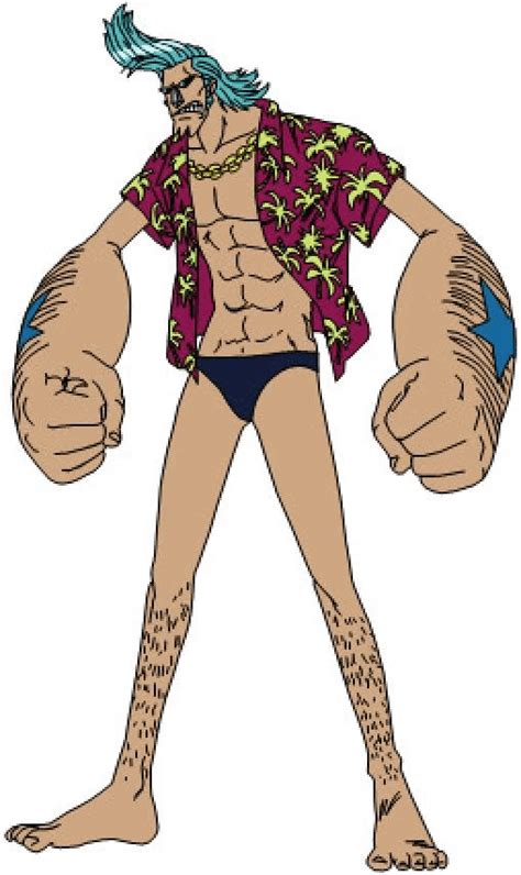 Post time skip Franky Design : r/OnePiece