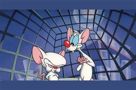 Can You Remember The Lyrics To The Pinky And The Brain Theme Song?