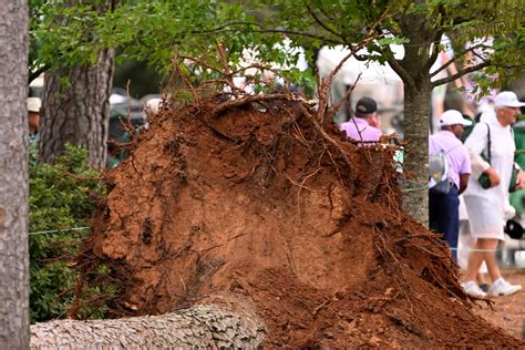 Masters 2023: Trees fall into gallery at Augusta National; no injuries reported