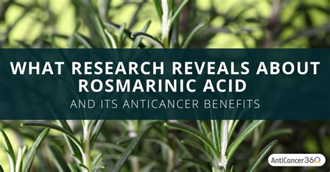 What Research Reveals About Rosmarinic Acid And Its AntiCancer Benefits