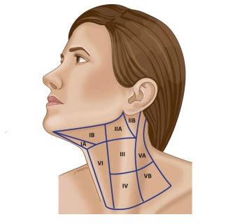 Lumps In Neck Under Jaw | Renew Physical Therapy