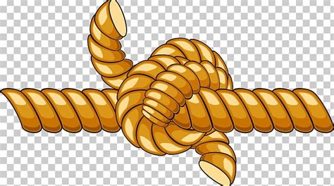 Rope Knot Cartoon PNG, Clipart, Cartoon, Cartoon Rope, Download, Drawing, Dynamic Rope Free PNG ...