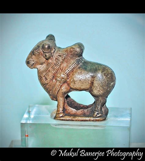 Bull Sculpture, 3 BCE Mauryan Empire | Art under the Maurya … | Flickr