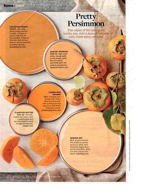 Pretty Persimmon from Better Homes & Gardens, November 2014 | Paint ...