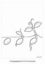 Planting Seeds Coloring Pages sketch template