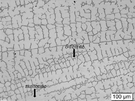 shows a LM image of the microstructure of pure austenitic stainless ...