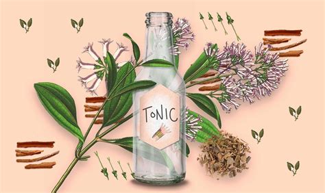 Tonic Water - Die wichtigsten Fakten rund um die Bitterlimonade