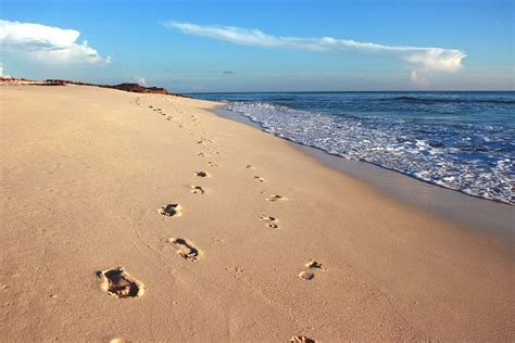 Footprints In The Sand On The Beach Background