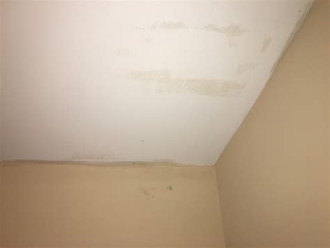 Why Is There Mildew On My Walls | Psoriasisguru.com