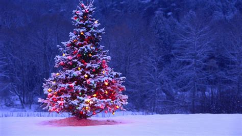 Christmas Tree Desktop Wallpapers - Top Free Christmas Tree Desktop ...