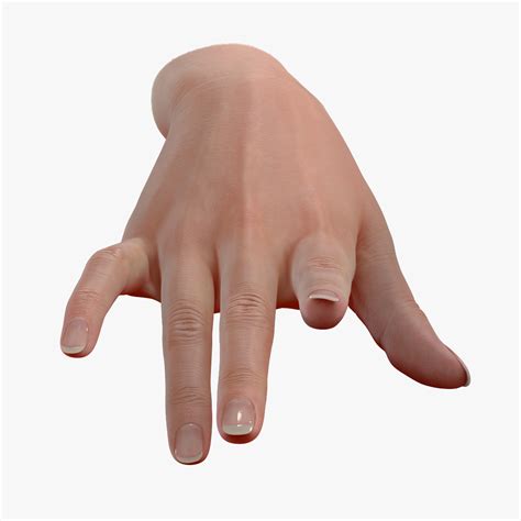 Realistic Female Hand 3d Max - vrogue.co
