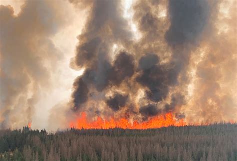 Calgary to open Alberta wildfire evacuee centre - LiveWire Calgary