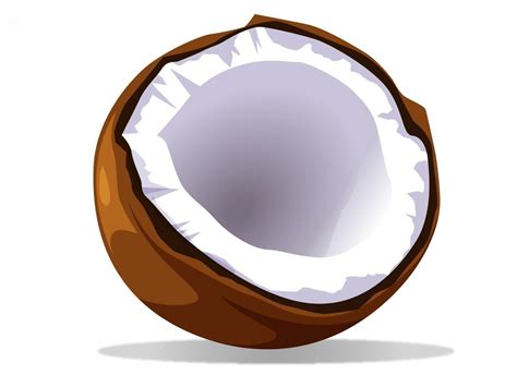 Coconut Clipart Clipart Best Clipart Best | Images and Photos finder