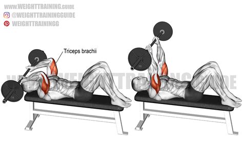 Barbell skull crusher exercise guide and video | Weight Training Guide