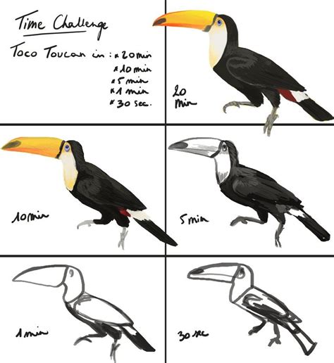 Time Challenge - A Toucan by PoisonSoldat | Toucans, Challenges, Fun challenges