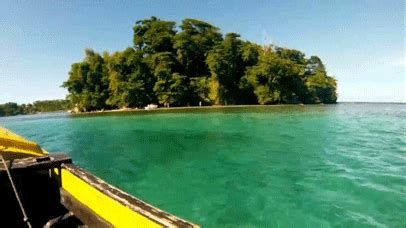 Kingston Jamaica GIFs - Find & Share on GIPHY