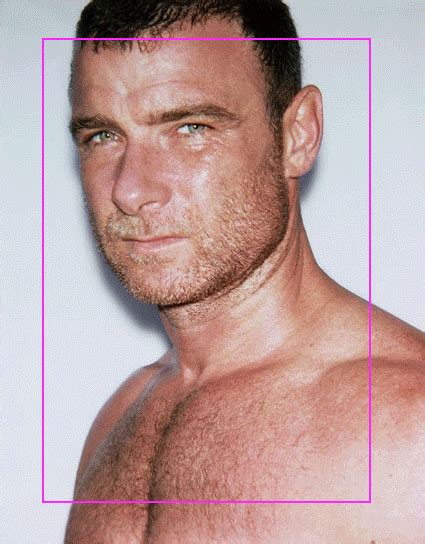 Ray Donovan, Liev Schreiber, Personal Quotes, Perfect Man, X Men ...