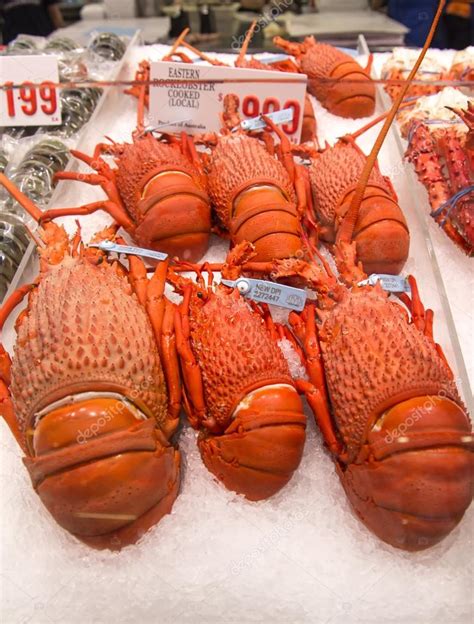 Lobster on the Sydney Fish Market. — Stock Photo © boggy22 #73227109