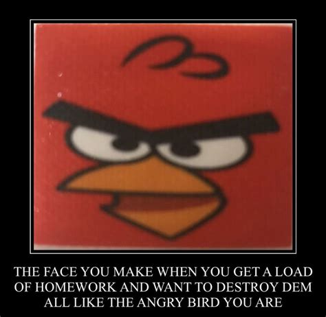 Red Angry Bird Meme