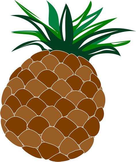 Pineapple Silhouette Vector