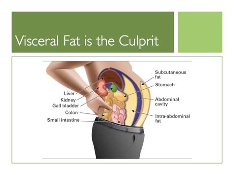 What's the most effective diet product to burn visceral fat?