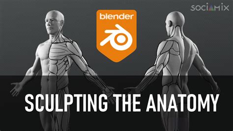 Sculpting the Human anatomy in Blender (Full process ! ) - BlenderNation