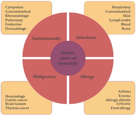 Antibodies | Free Full-Text | Elevated IgE Levels—An Allergy or an Underlying Inborn Error of ...