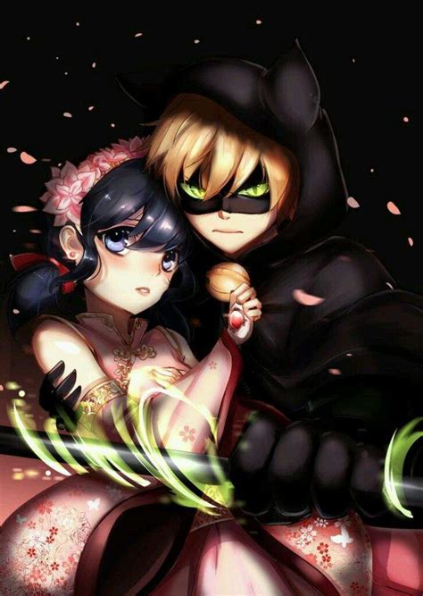 Catnoir y ladybug anime | •Miraculous Ladybug Español• Amino